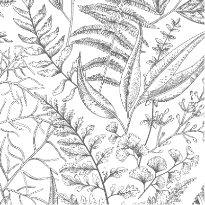 leafpattern_box.xcs