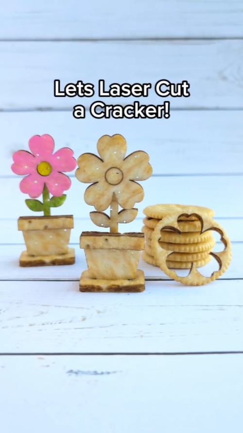 [Laser cut and engrave] Potted Flower Shaped Crackers