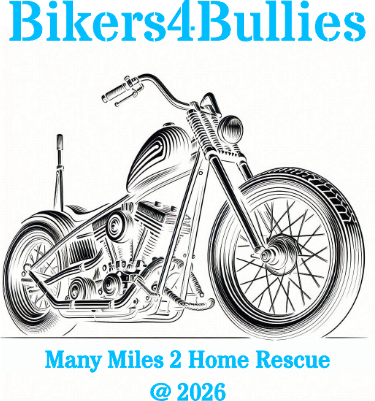 FLASKBikers4Bullies.xs