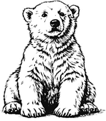 Polar Bear Coaster.xcs