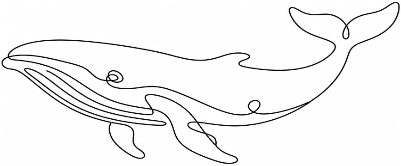 Blue Whale Single Line Art.xcs