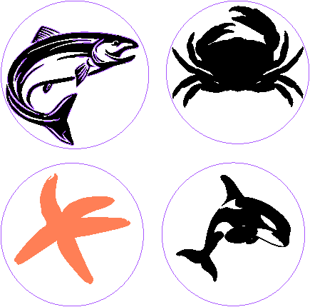 soundcoasterocean.xcs