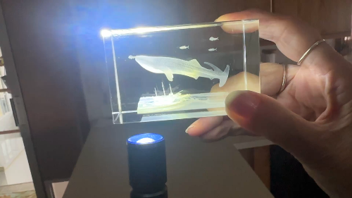 [Laser cut and engrave] Laser Engraved Acrylic Whale Shark and Boat 3D Art Display