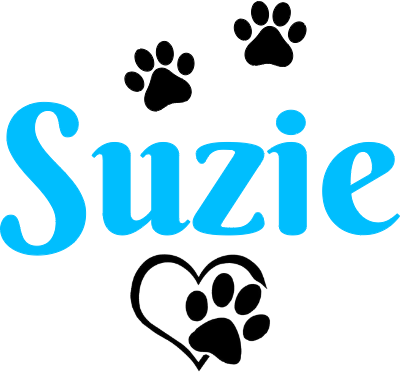 Médaille Suzie (40w).xcs