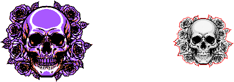 SkullFLowers.xcs