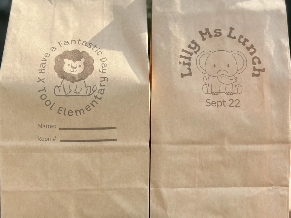 Back to School Lunch Bags     X tool S1 40W