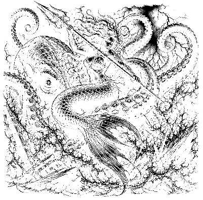 atommmermaidoctopus.xcs