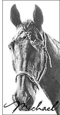 Michael the Horse.xcs