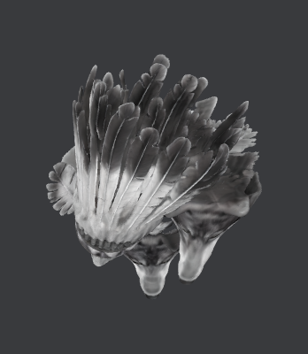 Untitled.xcs