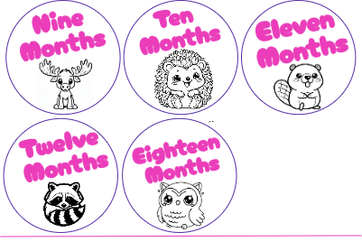 Baby Month Markers 9-12.xcs