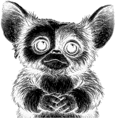 Gizmo Coaster.xcs