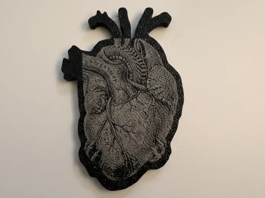 Anatomical human heart wall art medical anatomy decor