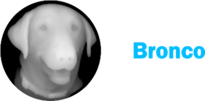 Bronco Brass Coin.xcs