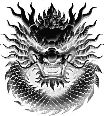 chinese dragon coaster.xcs