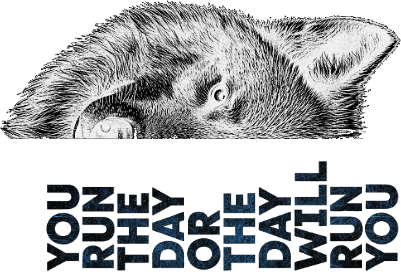 wolf meme.xcs