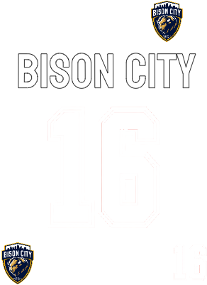 AP World Cup Jersey Set Bulk Customization.xcs