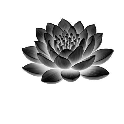 Lotus.xcs