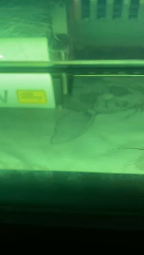 [Laser cut and engrave] Image d'une carpe koi