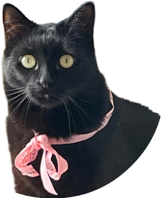 pimousse médaille.xcs