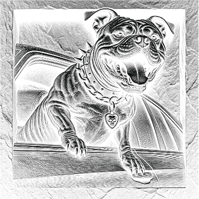Chien cool.xcs