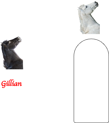 Gelly Horse bookmark F2 UV.xcs