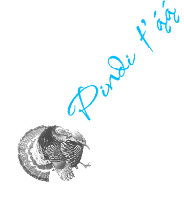 TurkeyFeather.xcs