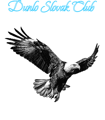 Dunlo Slovak Club.xcs