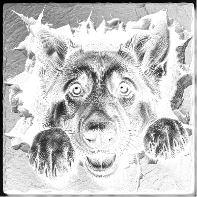 carrelage-3D-chien1.xcs