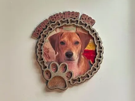 Paw Dog Photo Frame