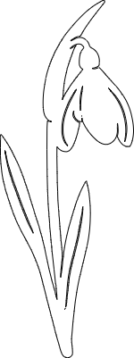 SG2.xcs