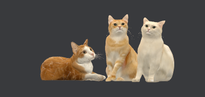 Hans 3 Katzen fertig.xcs