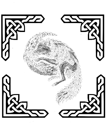 Celtic Wolf and Moon.xcs