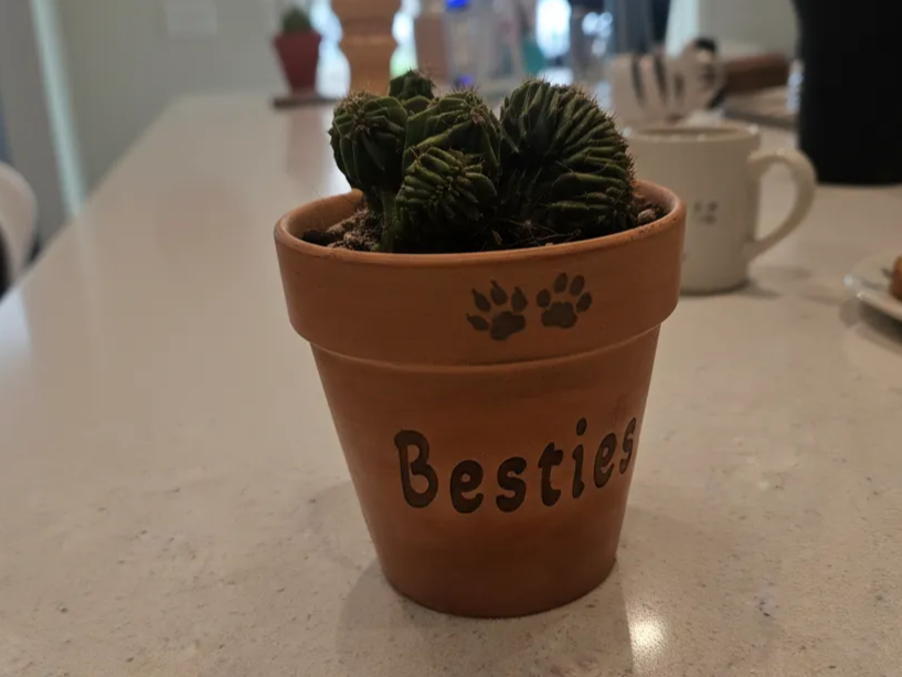 Besties Terracotta Plant Pot with Paw Prints gift design
