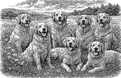 Seven Good Dogs.xcs