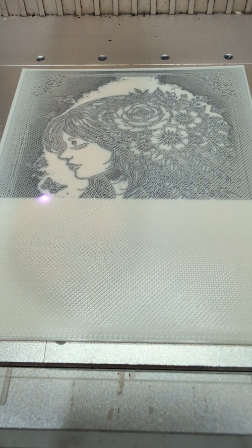 [Laser cut and engrave] Framed Portrait of a Woman with Floral Hair and Butterflies - PETG Sketch Engraving – Black & Grey Portrait Using IR Laser