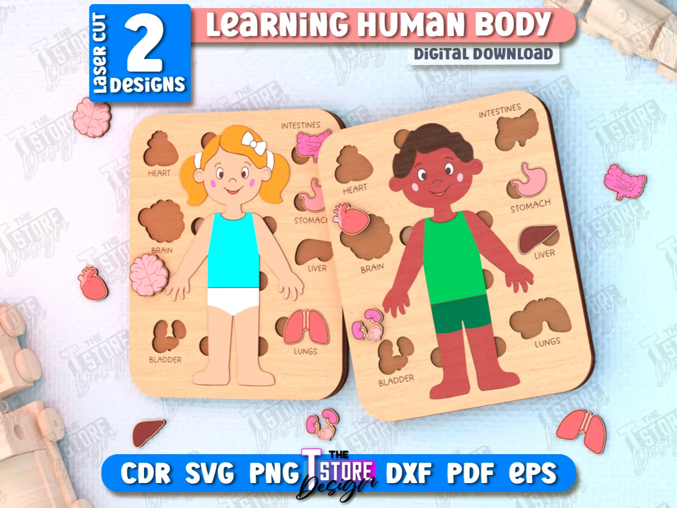 Learning human body laser cut bundle montessori toys human body puzzle