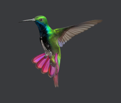 hummingbird.xcs