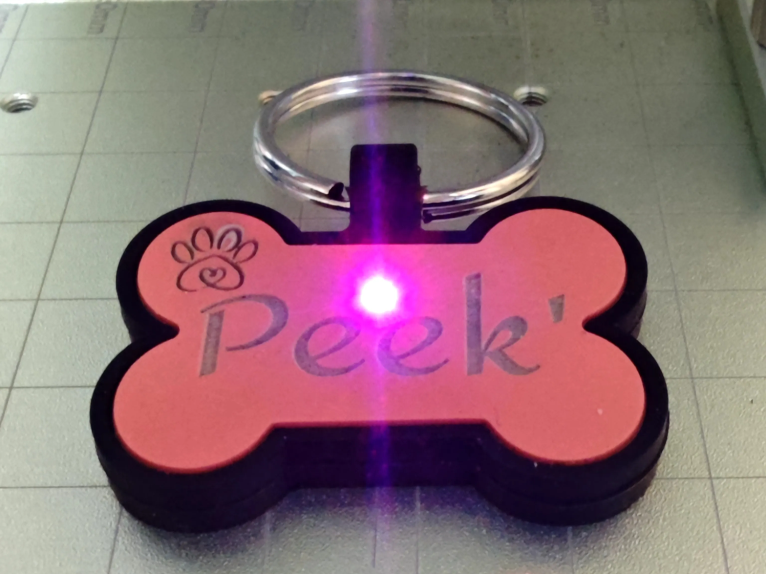 Silicone Pet Tag pet id tag design