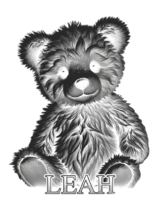 teddy engrave.xcs