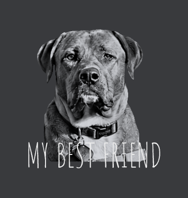 Mans best friend.xcs