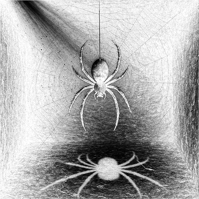 atommspider3d.xcs