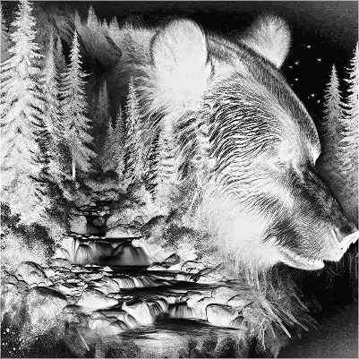 Bär mit Wald.xcs