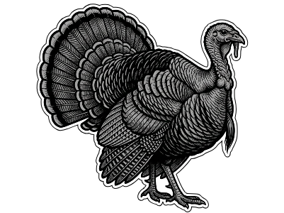 Turkey.xcs