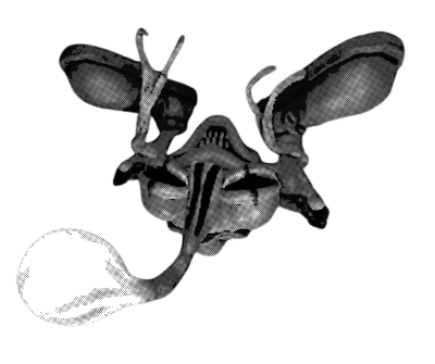 Untitled_recovered.xcs