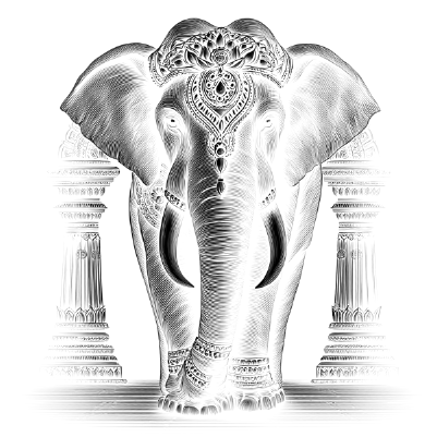 Elephant 2.xcs