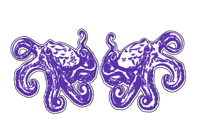 octopus-earrings.xcs