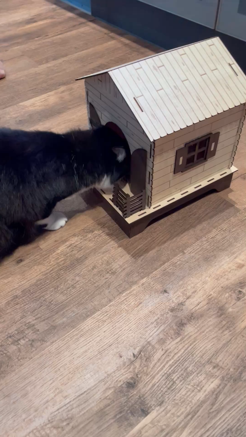[Laser cut and engrave] Lasergraviertes Holz-Tierhaus mit detailreicher Struktur