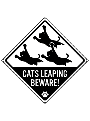 CATLEAPING.xcs
