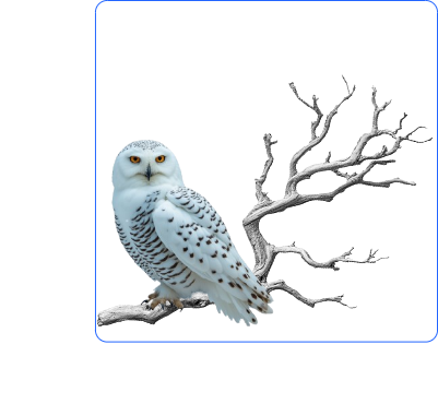 Snowy Owl Sign.xcs