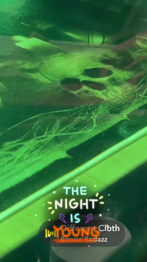 [Laser cut and engrave] Halloween Pumpkin Jack-o-Lantern with Skull and Candle Light Decor